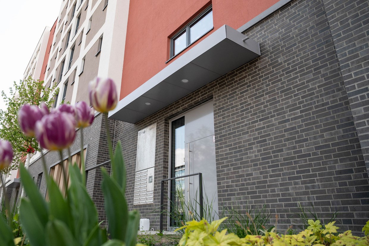 Eine moderne Hausfassade mit&nbsp; Pflanzen.